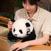 LineOlly Panda HuaHua Stuffed Plushie Doll