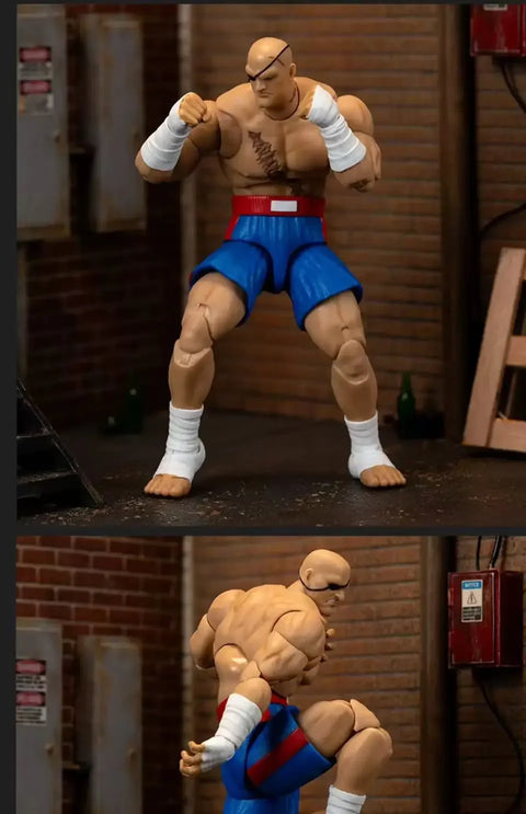 Jada Toys Street Fighter Blanka Sagat Vega Wave 4 Action Figure Collectible Model Statue