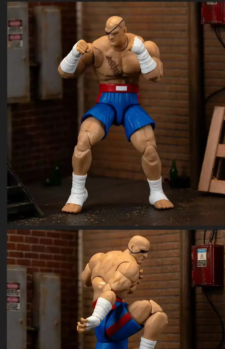 Jada Toys Street Fighter Blanka Sagat Vega Wave 4 Action Figure Collectible Model Statue