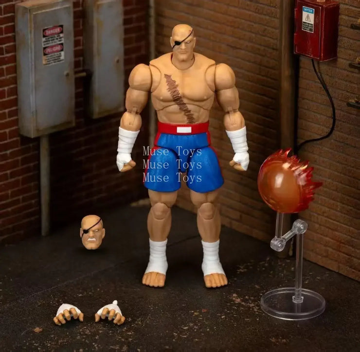 Jada Toys Street Fighter Blanka Sagat Vega Wave 4 Action Figure Collectible Model Statue